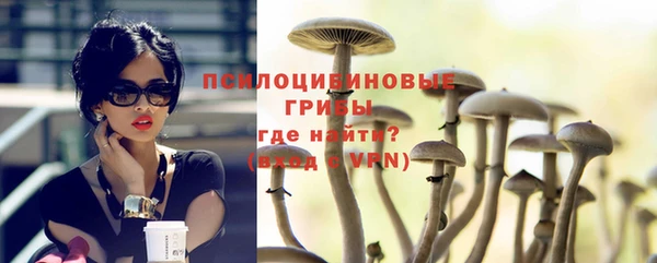 молекула духа Куйбышев