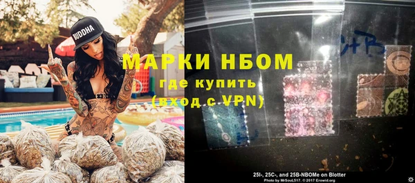 ПСИЛОЦИБИНОВЫЕ ГРИБЫ Кулебаки