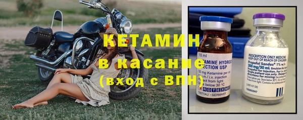 шишки Белоозёрский