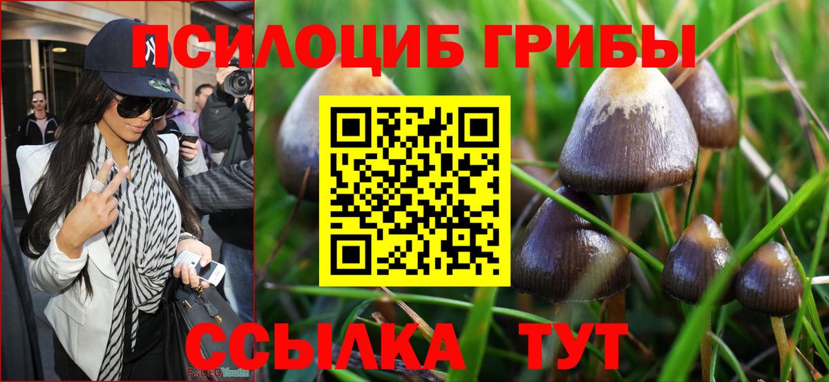 Псилоцибиновые грибы прущие грибы Новоуральск